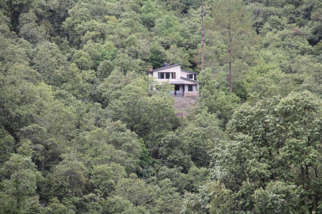 ein Haus mitten im Wald in der Unterkunft Fursat, exclusive solitude! in Rāmgarh