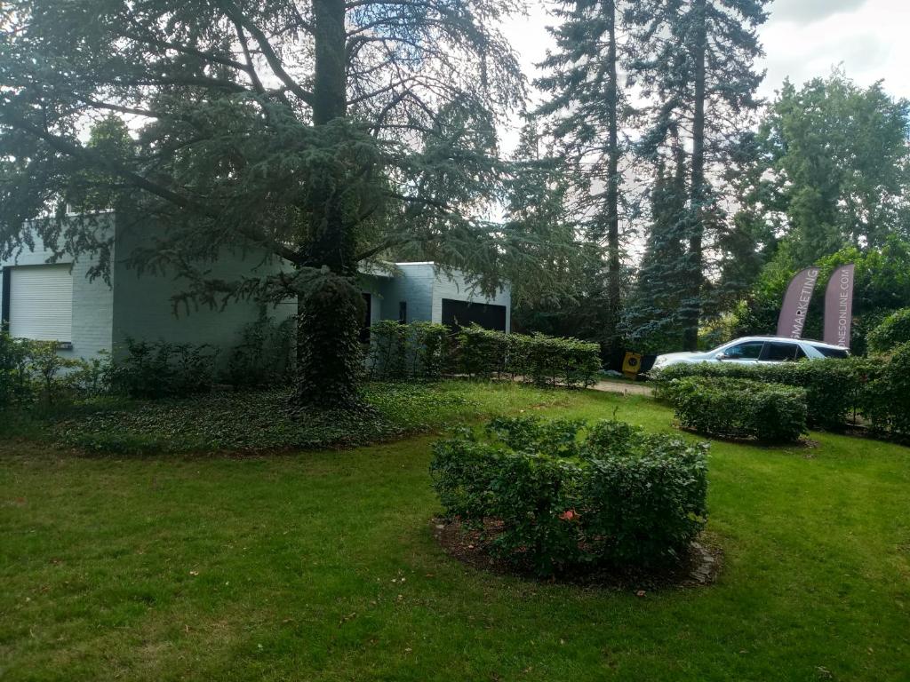 a house with a yard with a tree and a car at Lijsterlaan 42 in Kapellen