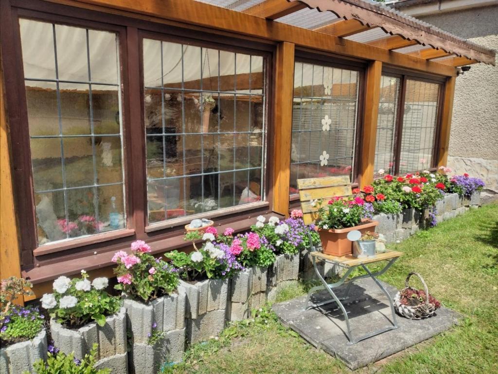 Aed väljaspool majutusasutust Ferienhaus Rabold