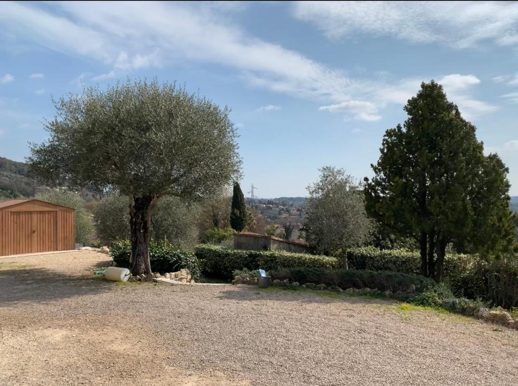 un jardin avec un arbre et des buissons et un bâtiment dans l'établissement Rez de villa Peymeinade, à Peymeinade