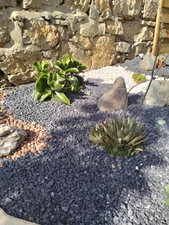 a rock garden with plants and a stone wall at Logement zen love, 5 mn de la plage in Toulon
