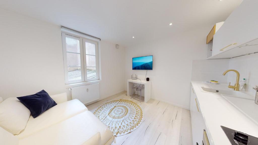 Kuchyňa alebo kuchynka v ubytovaní Appartements modernes avec véranda