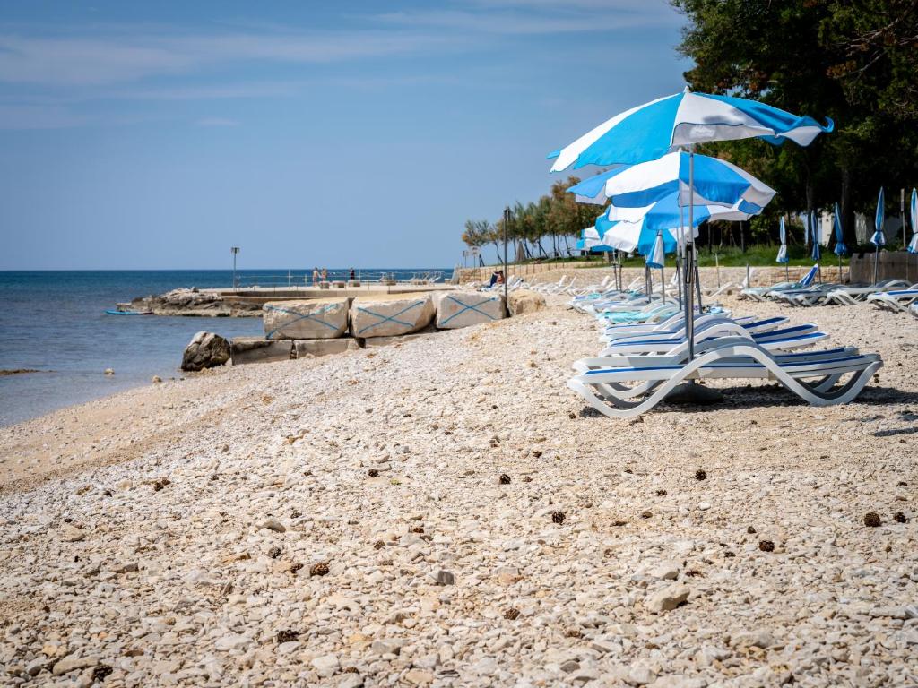 Příroda nedaleko hotelu