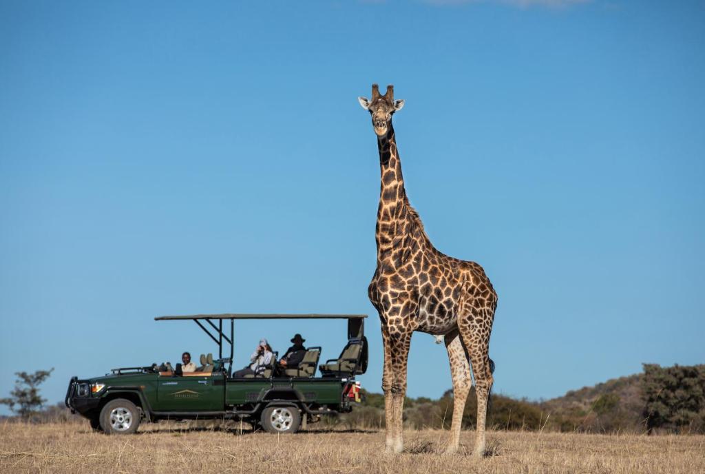 Safari Plains (Mabula) – oppdaterte priser for 2023