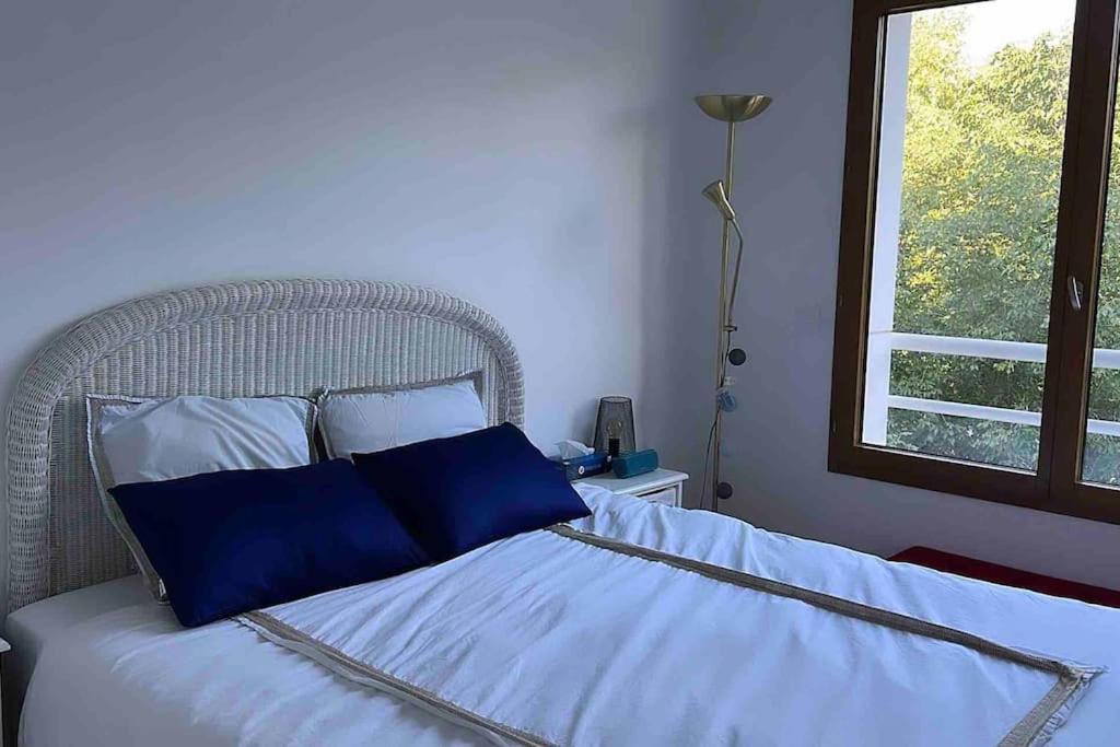 Un dormitorio con una cama con almohadas azules y una ventana en Apartment 2 bedroom with parking, pool and tennis, en Le Chesnay