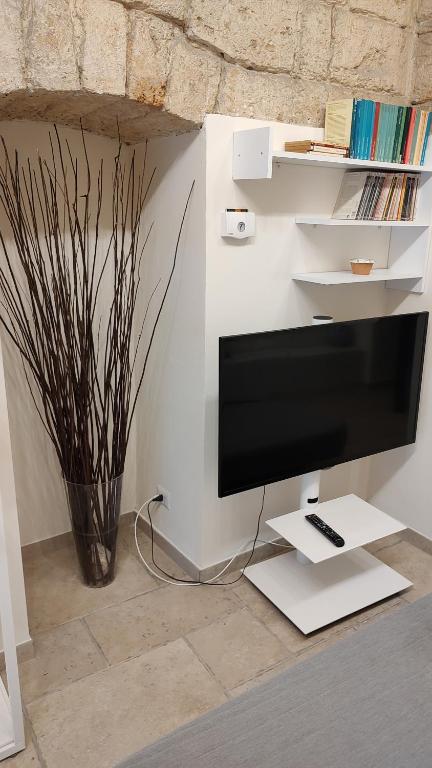 TV a/nebo společenská místnost v ubytování BariMetro Garden