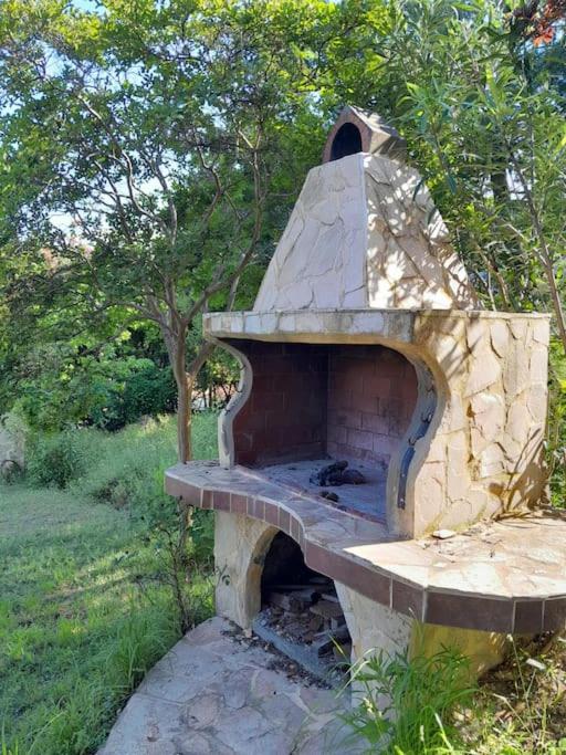 Zahrada ubytování Villa Nestor