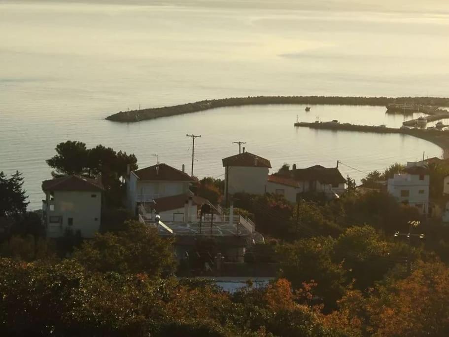 a large body of water with houses and a harbor at Villa Nestor in Platamonas