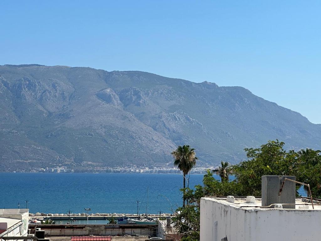 a view of the ocean with a palm tree and mountains at Cafe de Pyla in Korinthos