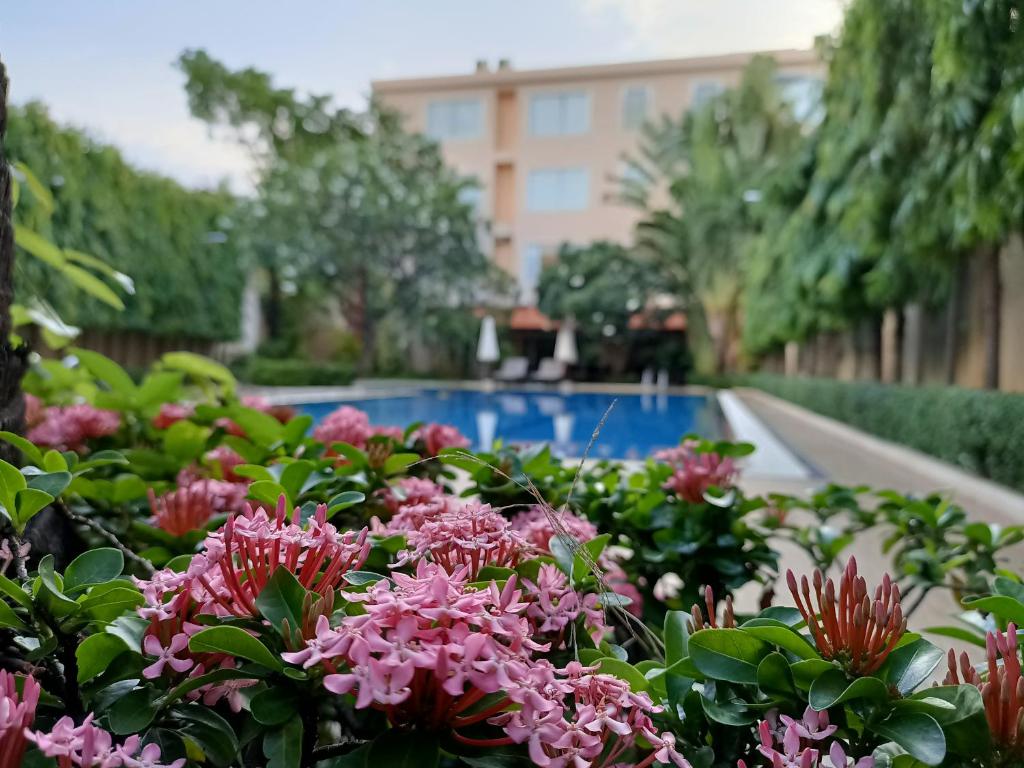 a garden with pink flowers in front of a swimming pool at Starry Angkor Hotel in Siem Reap