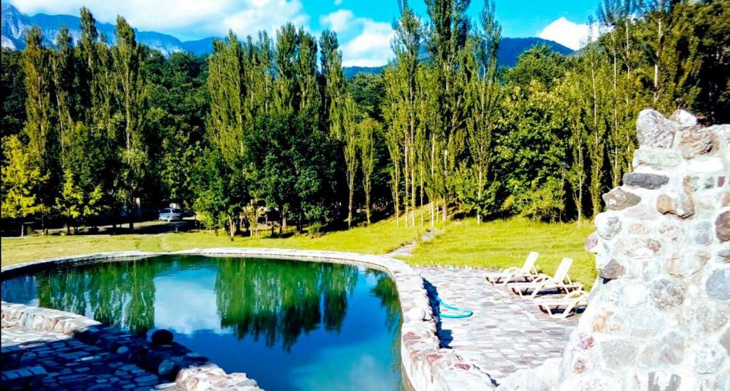 una piscina con sillas y árboles en el fondo en Grand Village, en İsmayıllı