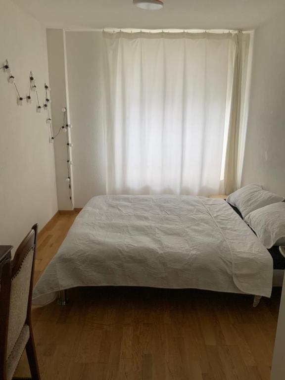 Lion BB Swiss - Resim 26