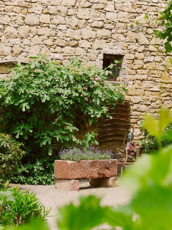 Zahrada ubytování Urige Schlaffässer im Winzergarten inklusive Weinprobe