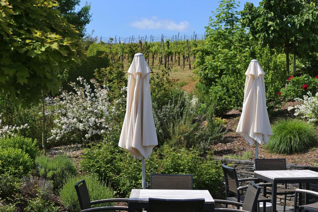 Zahrada ubytování Ernst Clüsserath Weingut & Weinhotelchen