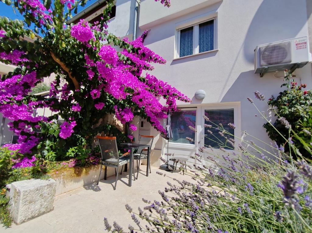 Zahrada ubytování Studio City Garden