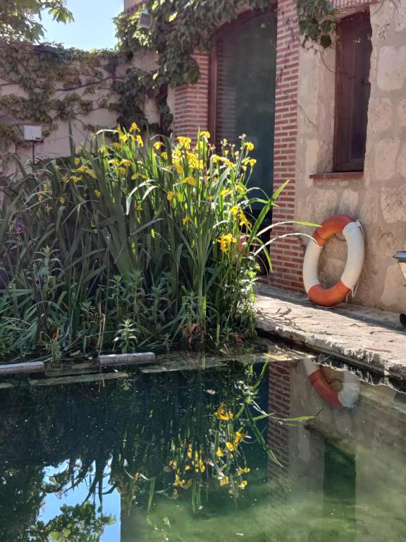 Zahrada ubytování Viento de Ladera PISCINA NATURAL y JACUZZI EXT