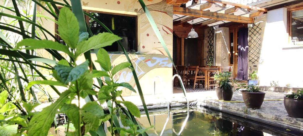 Zahrada ubytování Viento de Ladera PISCINA NATURAL y JACUZZI EXT
