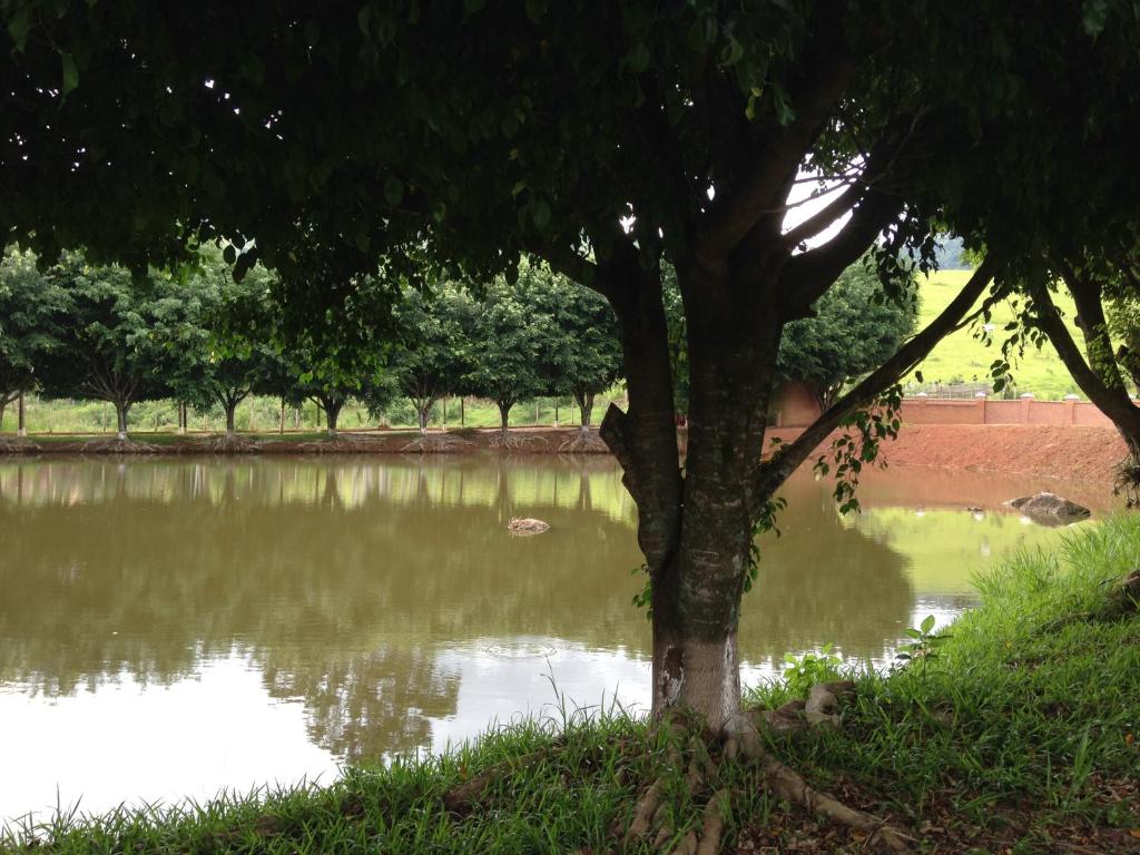  Pousada Recanto das Aves