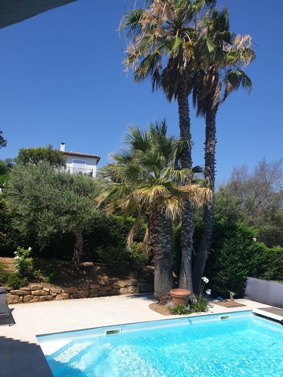 - une piscine avec deux palmiers dans une cour dans l'établissement Villa Lumie - Superbe villa pour 8 personnes entièrement rénovée en 2023 avec piscine privée, à Sainte-Maxime