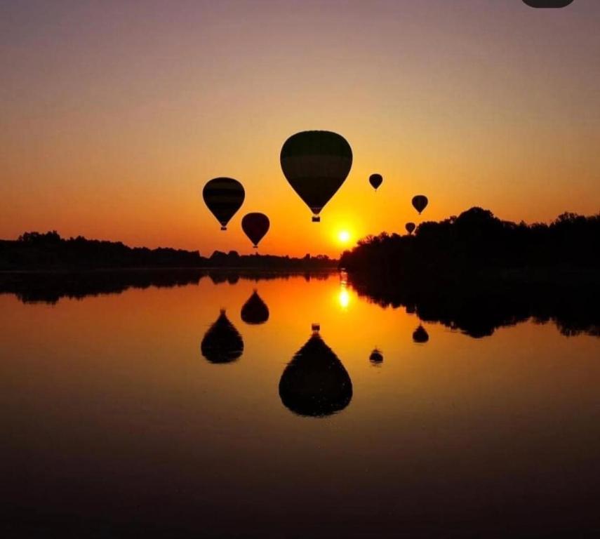 um grupo de balões de ar quente voando sobre uma massa de água em Nile diana luxor em Luxor