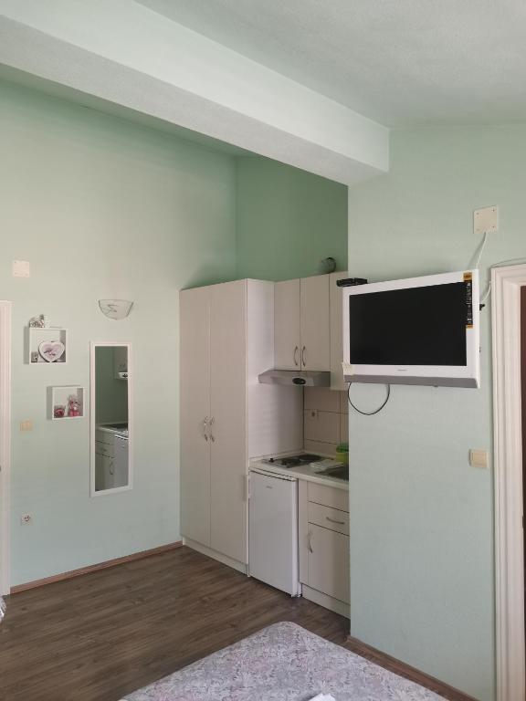 Kuchyň nebo kuchyňský kout v ubytování Apartmani Riba