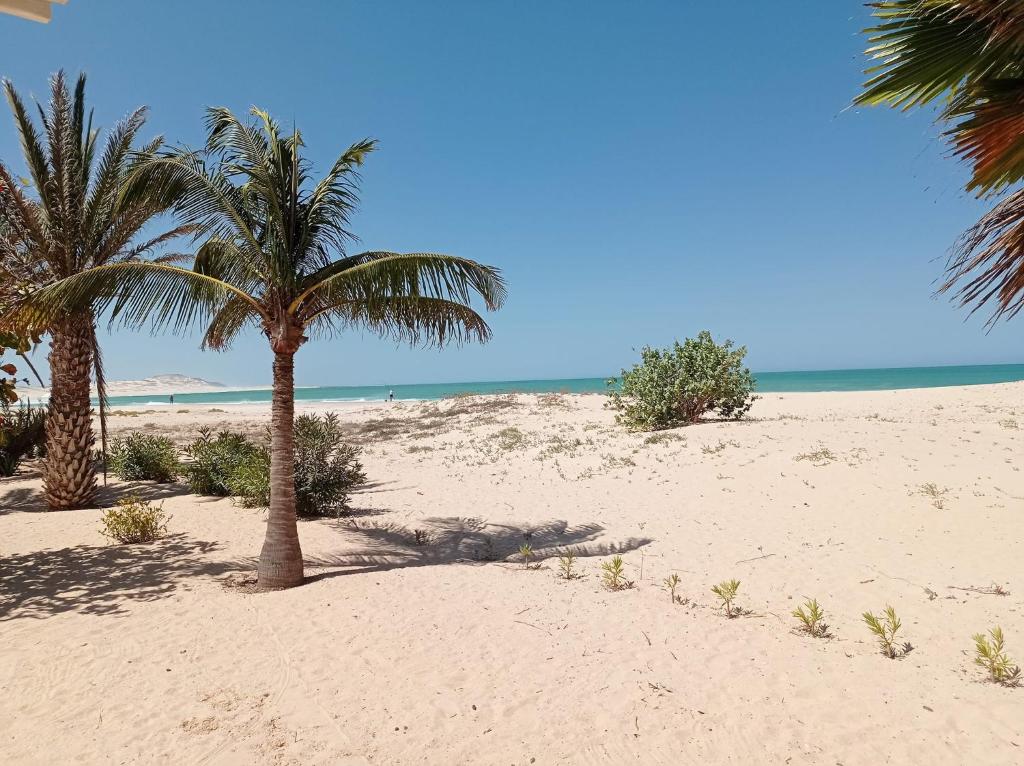 Pantai di atau dekat dengan apartmen