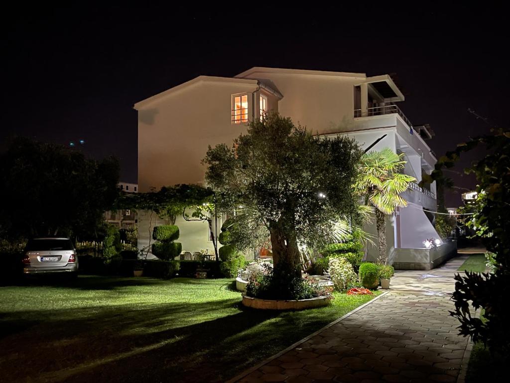 una casa con un árbol en el patio delantero por la noche en Apartaments Queen, en Ulcinj