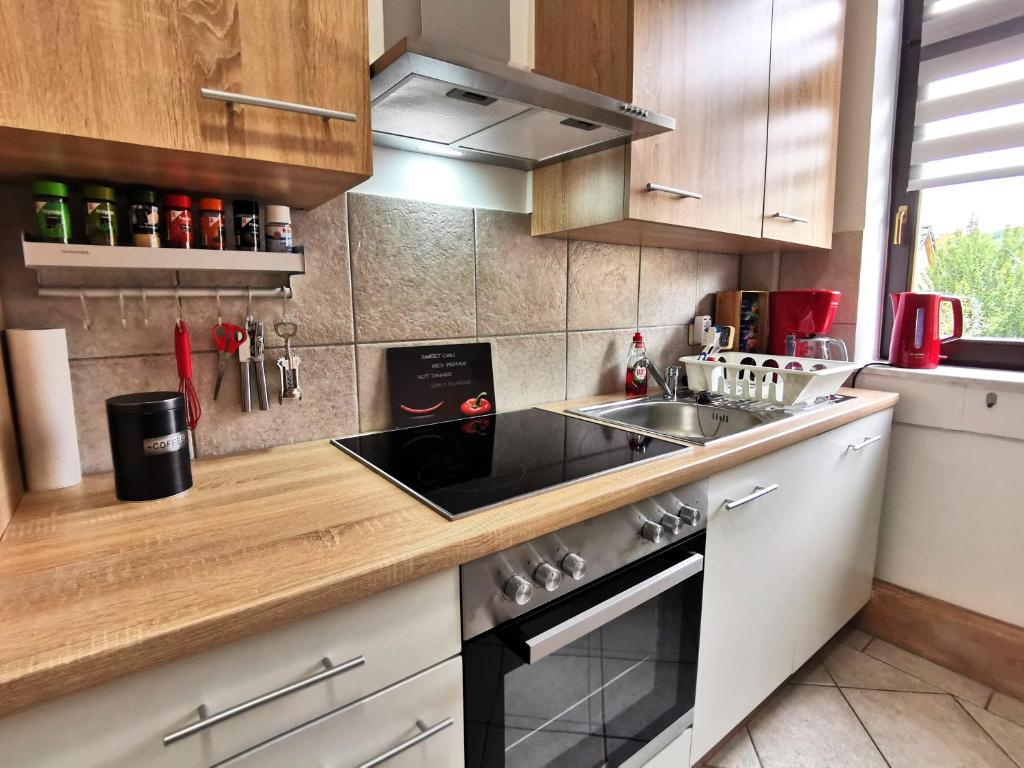 Kuchyň nebo kuchyňský kout v ubytování Ferienwohnung La Finesse