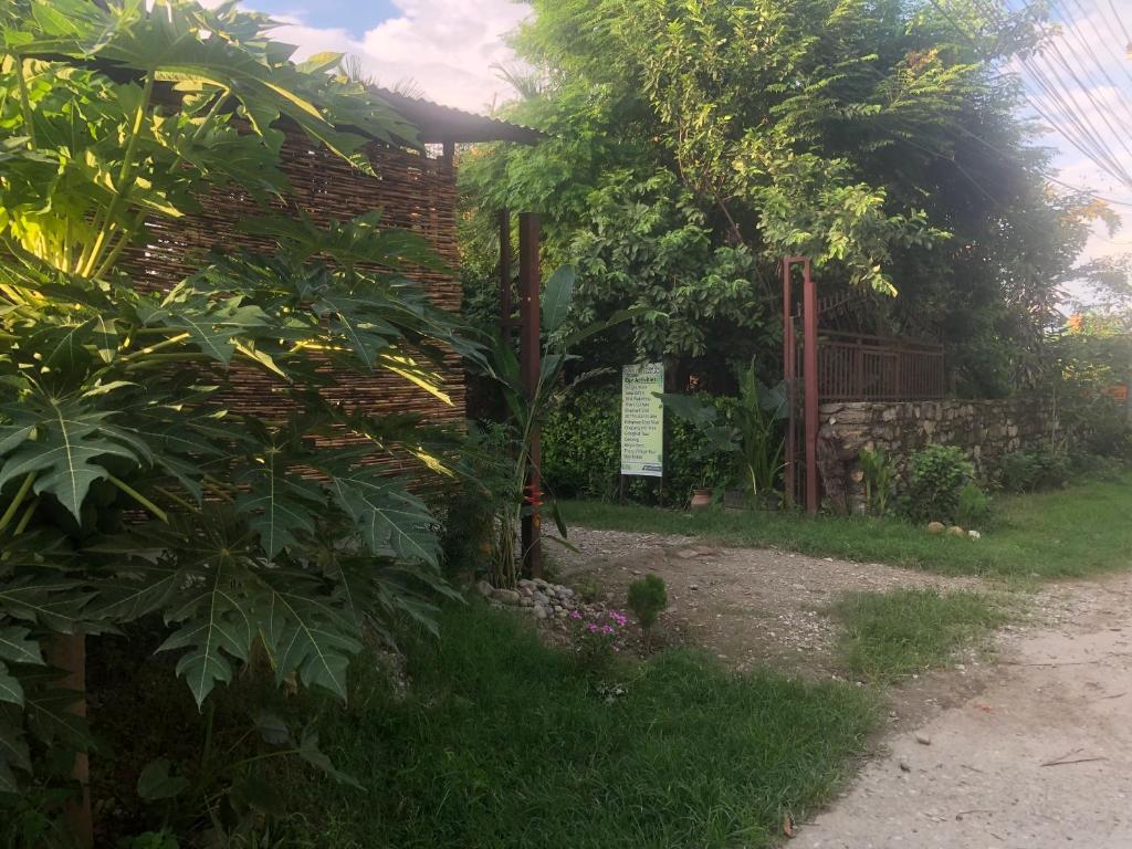 Zahrada ubytování Tara guesthouse - Sauraha,Chitwan