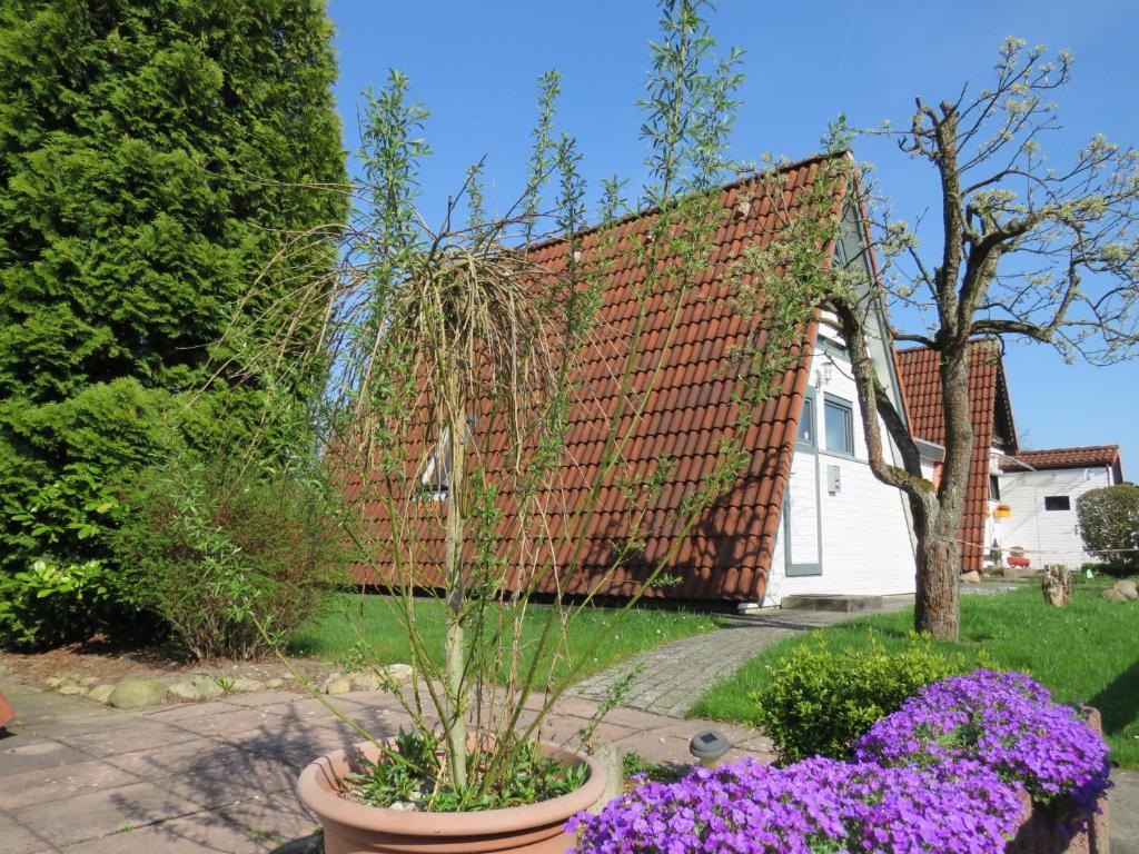 a plant in a pot in front of a house at Ferienhaus Wigwam im Feriendorf Al in Bachenbrock