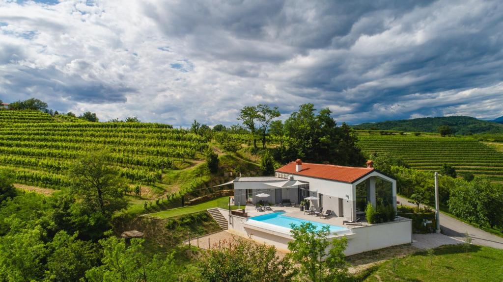 an aerial view of a villa in a vineyard at Larya House in Dobrovo