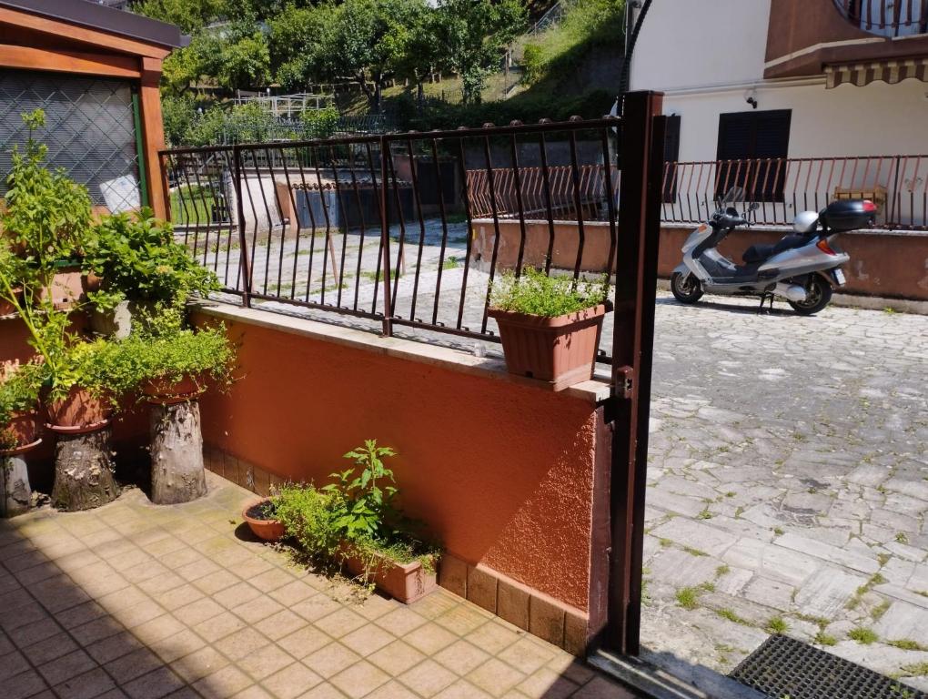 skuter zaparkowany obok balkonu z roślinami w obiekcie Mimosa w mieście Tagliacozzo