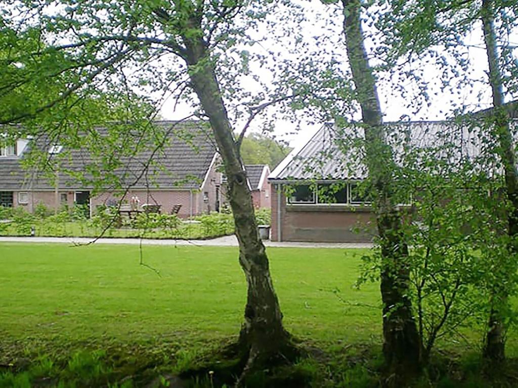 Zwiggelte – Photos 2