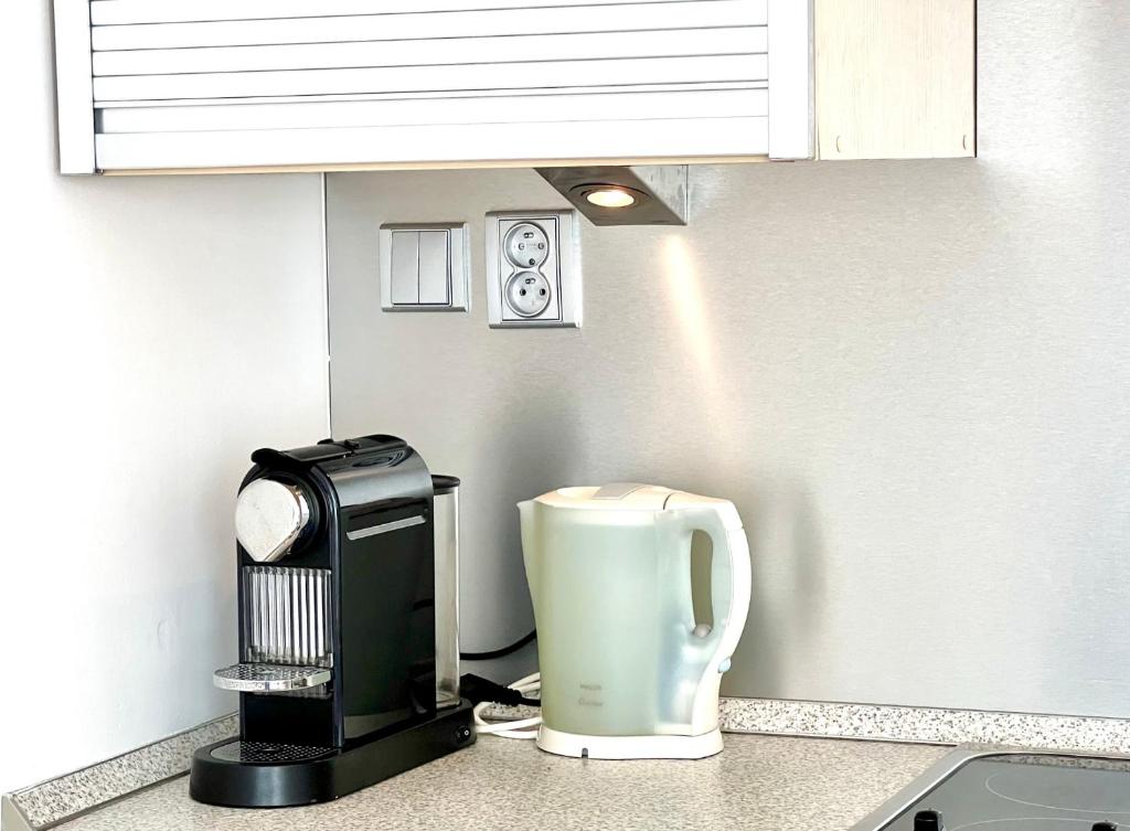 Kuchyň nebo kuchyňský kout v ubytování Apartmán u lesa, Srní 119