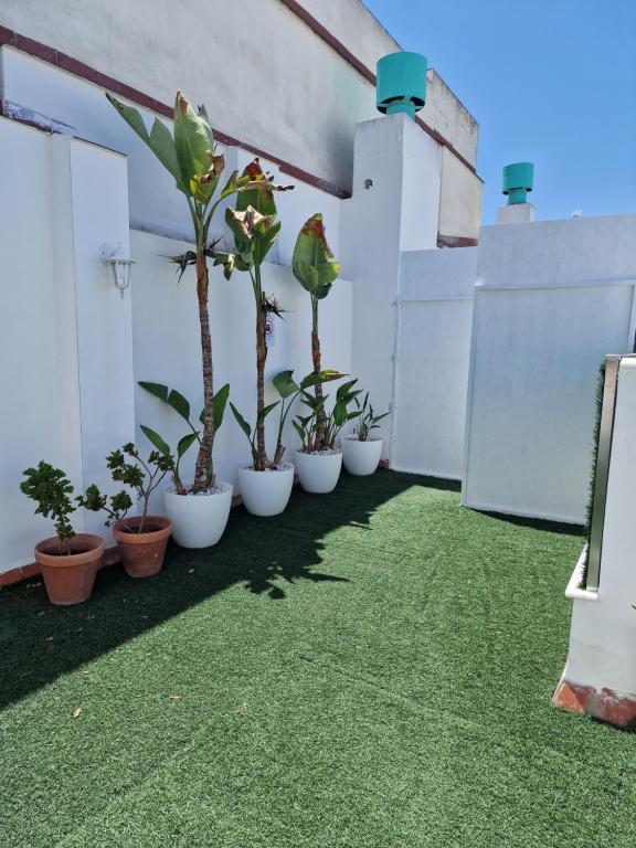Hotel y Apartamentos Doña Lola - Resim 11