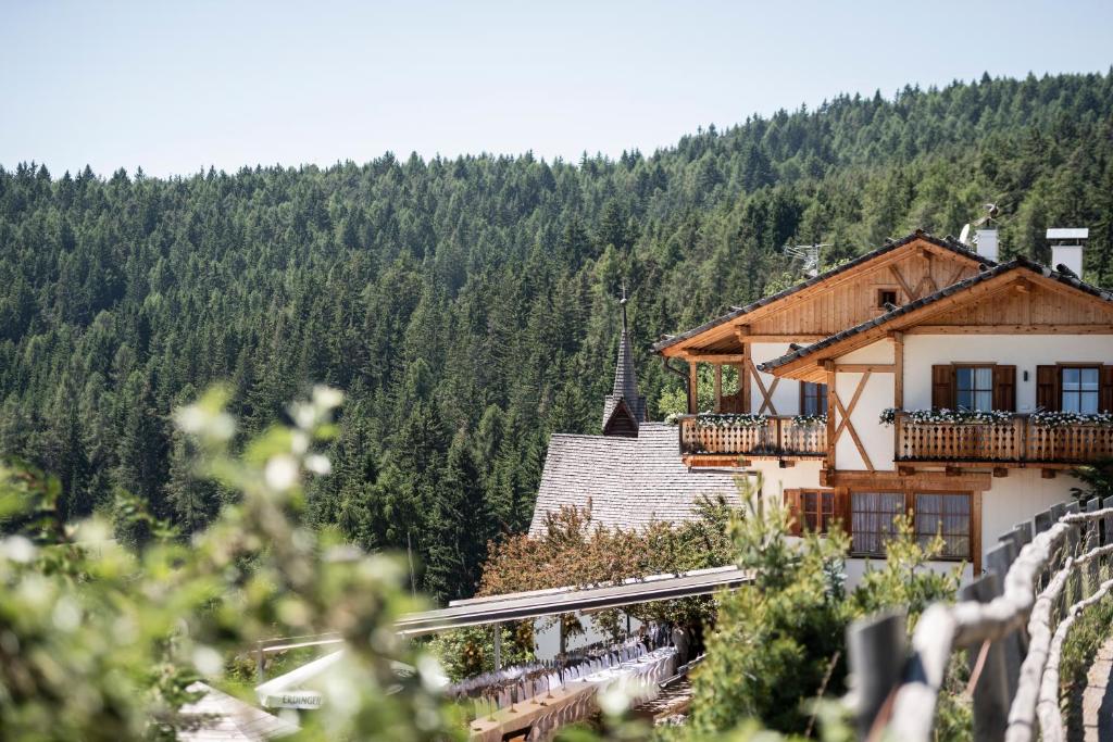Příroda nedaleko hotelu