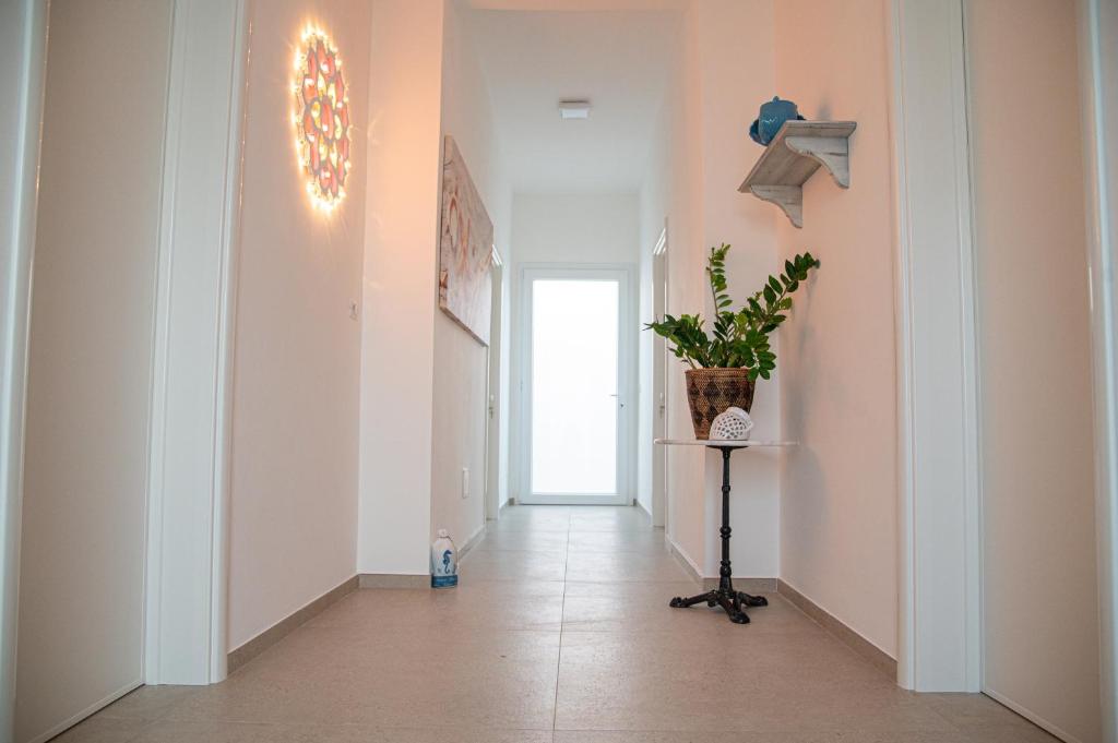 Granelli di sabbia - 15