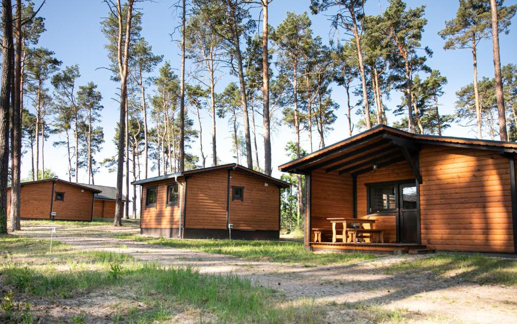 eine Gruppe von Holzhütten in einem Wald in der Unterkunft Osada Lubniewice - Domki letniskowe nad samym jeziorem na wynajem 2-8osób in Lubniewice