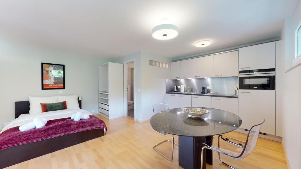 Kuchyň nebo kuchyňský kout v ubytování Spacious studio in a quiet area of Sierre
