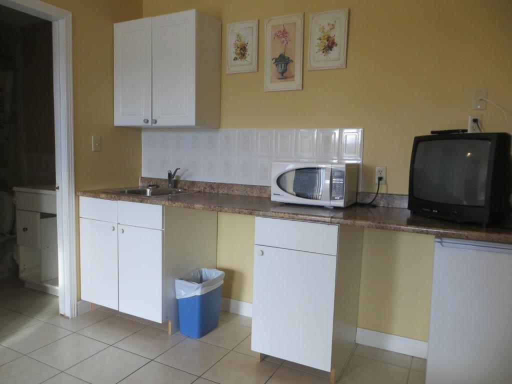 eine Küche mit einer Mikrowelle und einem TV auf der Theke in der Unterkunft Villa Nova Motel in Wasaga Beach