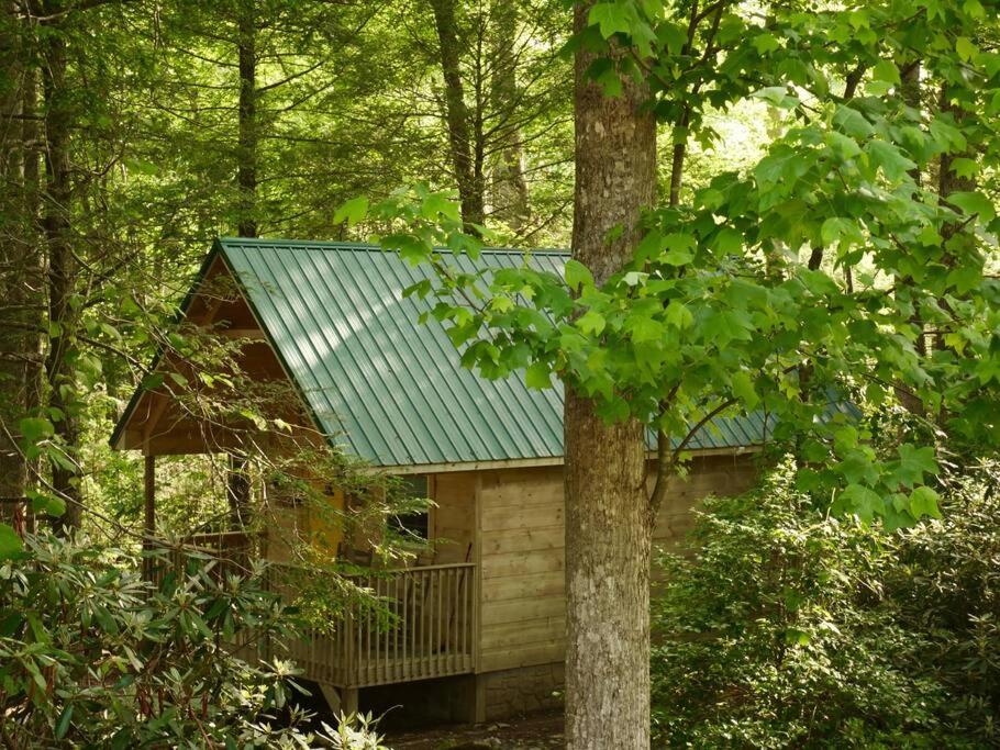 a cabin in the woods with a green roof at Holly Nest a Cozy Cabin Getaway near Gatlinburg in Cosby