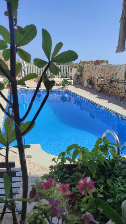 a blue swimming pool with some plants and flowers at Gizimina B&B by VeroSole in Xagħra