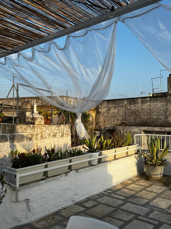 - une terrasse avec un auvent et un bouquet de plantes dans l'établissement La Biancasa, à Carovigno