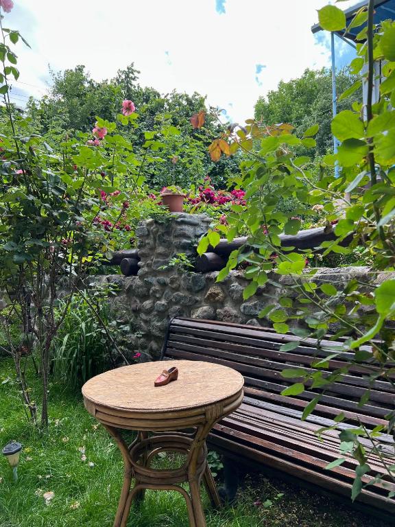 Zahrada ubytování ARTSIV Guesthouse