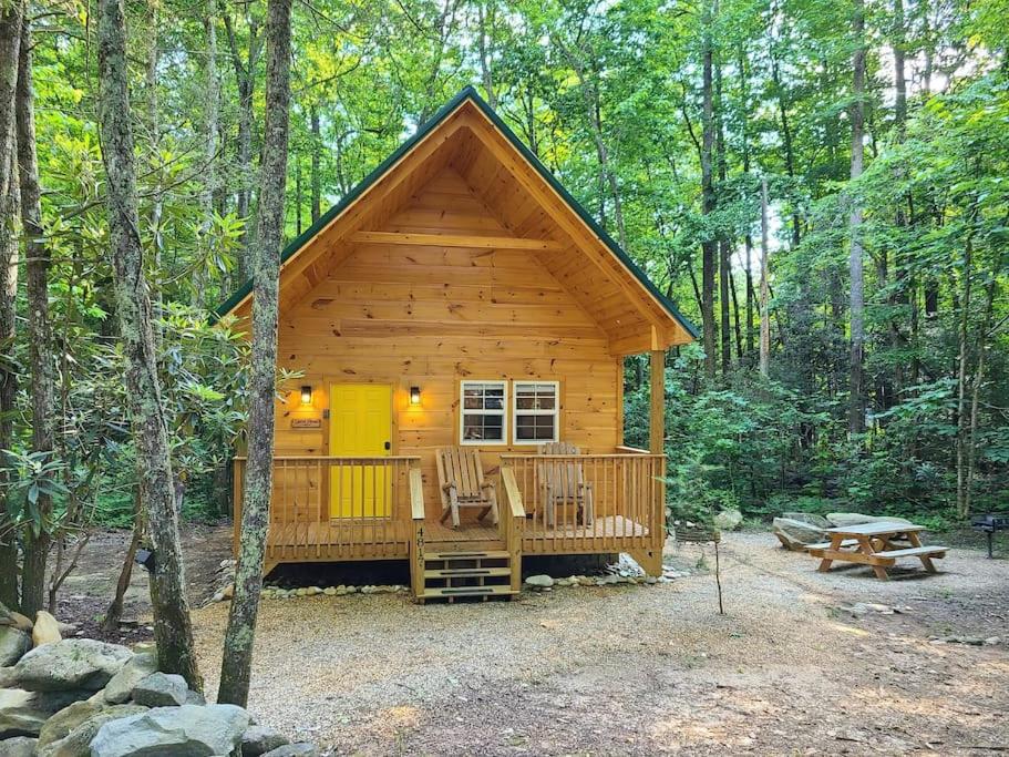een blokhut midden in het bos bij Laurel Haven a Modern Cabin Retreat near Gatlinburg in Cosby