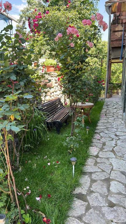 Zahrada ubytování ARTSIV Guesthouse