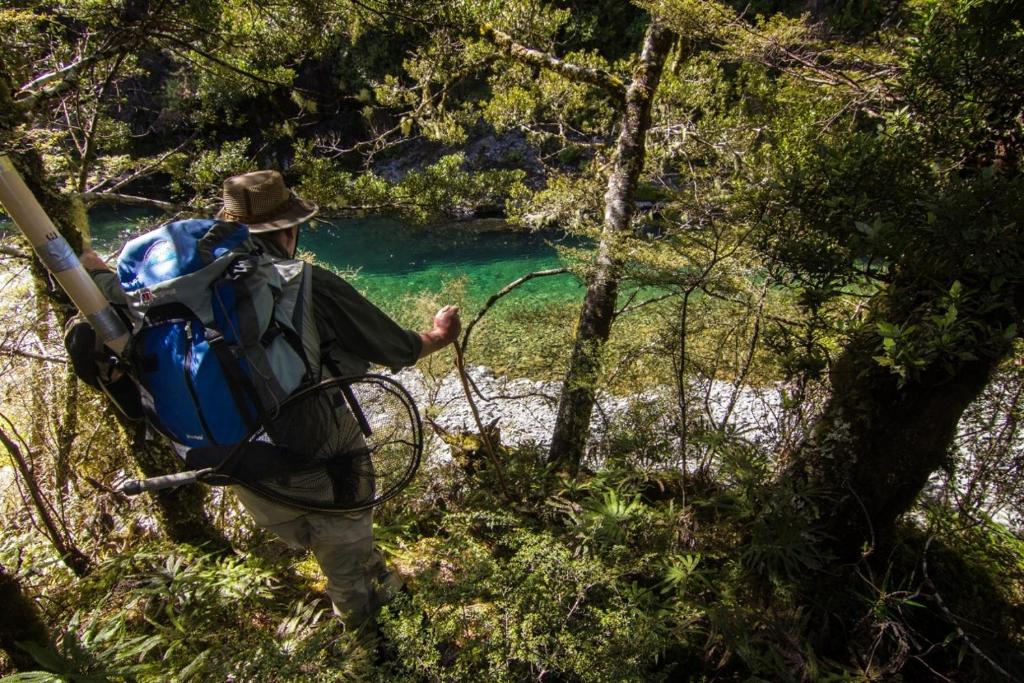 Tongariro Lodge - Resim 35