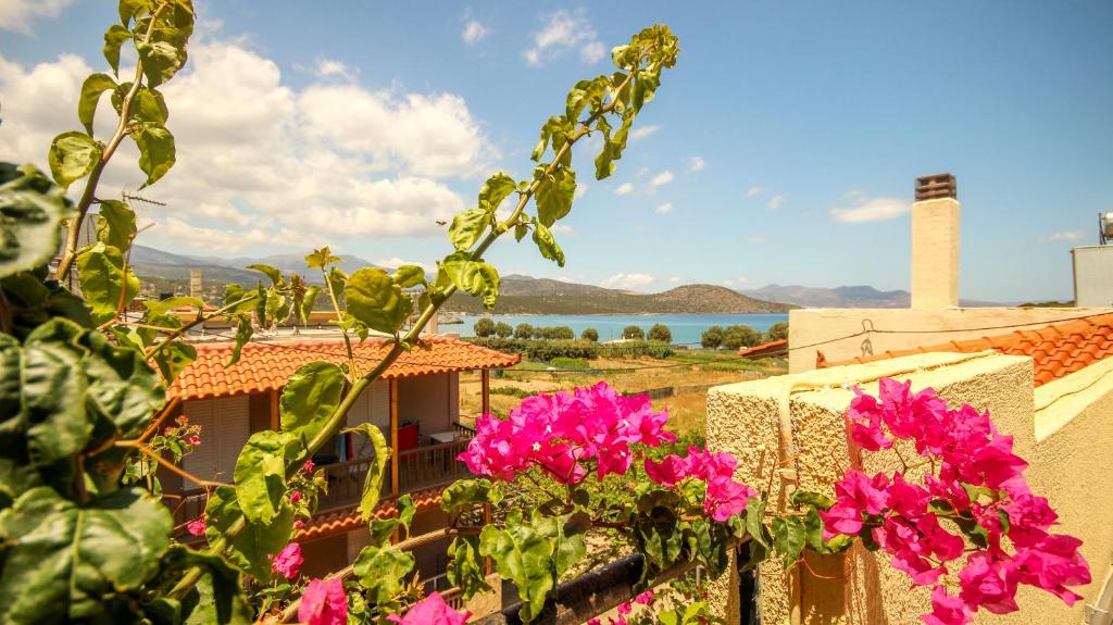 een uitzicht vanaf het balkon van een huis met roze bloemen bij Villa Minoas Apartments in Istron