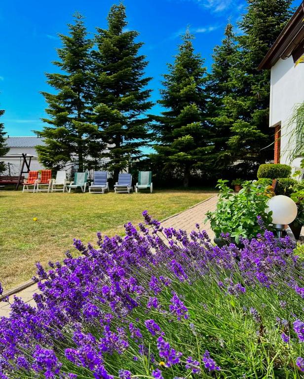 Apartamenty Ostoja - 10