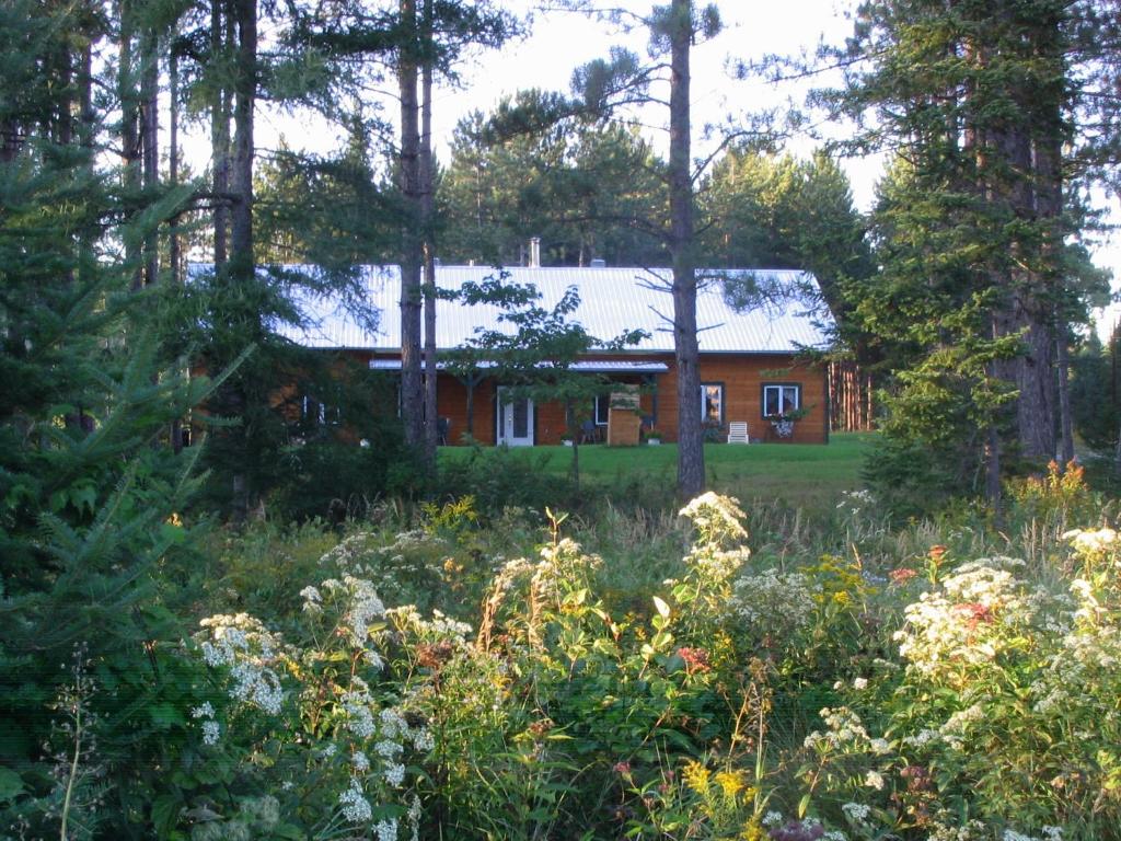 a house in the woods with a field of flowers at Domaine Summum in Mont-Tremblant